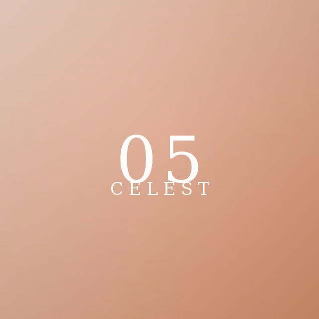Réalisation Celest : balayage cuivré nuancé